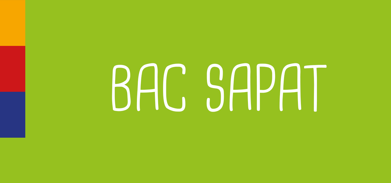 Bac SAPAT - La formation